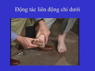 Động tác liên động chi dưới
 