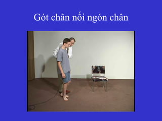 Gót chân nối ngón chân
 