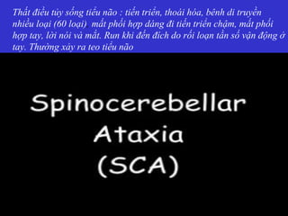 Thất điều tủy sống tiểu não : tiến triển, thoái hóa, bênh di truyền
nhiều loại (60 loại), mất phối hợp dáng đi tiến triển chậm, mất phối
hợp tay, lời nói và mắt. Run khi đến đích do rối loạn tần số vận động ở
tay. Thường xảy ra teo tiểu não
 