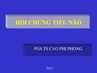 HỘI CHỨNG TIỂU NÃO
PGS.TS CAO PHI PHONG
2013
 