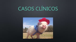 CASOS CLÍNICOS
 