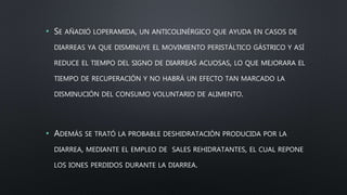 • SE AÑADIÓ LOPERAMIDA, UN ANTICOLINÉRGICO QUE AYUDA EN CASOS DE
DIARREAS YA QUE DISMINUYE EL MOVIMIENTO PERISTÁLTICO GÁSTRICO Y ASÍ
REDUCE EL TIEMPO DEL SIGNO DE DIARREAS ACUOSAS, LO QUE MEJORARA EL
TIEMPO DE RECUPERACIÓN Y NO HABRÁ UN EFECTO TAN MARCADO LA
DISMINUCIÓN DEL CONSUMO VOLUNTARIO DE ALIMENTO.
• ADEMÁS SE TRATÓ LA PROBABLE DESHIDRATACIÓN PRODUCIDA POR LA
DIARREA, MEDIANTE EL EMPLEO DE SALES REHIDRATANTES, EL CUAL REPONE
LOS IONES PERDIDOS DURANTE LA DIARREA.
 