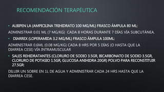 RECOMENDACIÓN TERAPÉUTICA
• ALBIPEN LA (AMPICILINA TRIHIDRATO 100 MG/ML) FRASCO ÁMPULA 80 ML:
ADMINISTRAR 0.01 ML (7 MG/KG) CADA 8 HORAS DURANTE 7 DÍAS VÍA SUBCUTÁNEA.
• DIARREX (LOPERAMIDA 3.2 MG/ML) FRASCO ÁMPULA 100ML:
ADMINISTRAR 0.6ML (0.08 MG/KG) CADA 8 HRS POR 5 DÍAS (O HASTA QUE LA
DIARREA CESE) VÍA INTRAMUSCULAR
• SALES REHIDRATANTES (CLORURO DE SODIO 3.5GR, BICARBONATO DE SODIO 3.5GR,
CLORURO DE POTASIO 1.5GR, GLUCOSA ANIHIDRA 20GR) POLVO PARA RECONSTITUIR
27.5GR:
DILUIR UN SOBRE EN 1L DE AGUA Y ADMINISTRAR CADA 24 HRS HASTA QUE LA
DIARREA CESE.
 