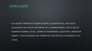 CONCLUSIÓN
• LOS PLANES TERAPÉUTICOS DEBEN SEGUIR AL DISAGNOSTICO, PUES ASI SE
ALCANZARA UNA MAYOR EFECTIVIDAD EN LA QUIMIOTERAPIA, CON LO QUE SE
PODRÍAN AHORRAR COSTOS, TIEMPO DE ENFERMEDAD, VELAR POR EL BIENESTAR
ANIMAL Y HASTA REALIZAR UNA TERAPÉUTICA EFECTIVA EN LA MAYORÍA DE LOS
CASOS.
 