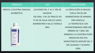 FÁRMACOS USO OBSERVACIONES
VIRACOL (COLISTINA 2MUI/ML)
ANTIBIÓTICO
LECHONES DEL 3° AL 5° DÍA DE
NACIDOS.
VÍA ORAL: 3 ML DE VIRACOL EN
75 ML DE AGUA (246,153 UI/KG).
ADMINISTRAR 4 ML/12 HORAS/3
DÍAS.
LA DISOLUCIÓN SE REALIZA
CON EL FIN DE SER
ADMINISTRADA DE MANERA
MÁS SENCILLA.
LA TERAPÉUTICA CON
ANTIMICROBIANOS DEBE SER
MÍNIMO DE 7 DÍAS, SIN
EMBARGO LA COLISTINA PUEDE
PRESENTAR EFECTOS
NEFROTÓXICOS DESPUÉS DEL 3°
DÍA (SUMANO Y OCAMPO,
2006).
 