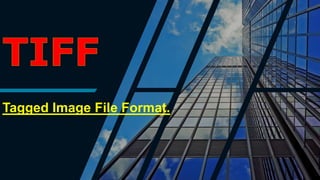 Tagged Image File Format.
 
