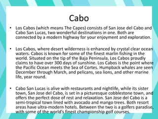 Cabo
• Los Cabos (which means The Capes) consists of San Jose del Cabo and
Cabo San Lucas, two wonderful destinations in one. Both are
connected by a modern highway for your enjoyment and exploration.
• Los Cabos, where desert wilderness is enhanced by crystal clear ocean
waters. Cabos is known for some of the finest marlin fishing in the
world. Situated on the tip of the Baja Peninsula, Los Cabos proudly
claims to have over 300 days of sunshine. Los Cabos is the point where
the Pacific Ocean meets the Sea of Cortes. Humpback whales are seen
December through March, and pelicans, sea lions, and other marine
life, year round.
• Cabo San Lucas is alive with restaurants and nightlife, while its sister
town, San Jose del Cabo, is set in a picturesque cobblestone town, and
offers the perfect dose of rest and relaxation. San Jose del Cabo is a
semi-tropical town lined with avocado and mango trees. Both resort
areas have ultra-modern hotels. Between the two is a golfers paradise,
with some of the world’s finest championship golf courses.
 