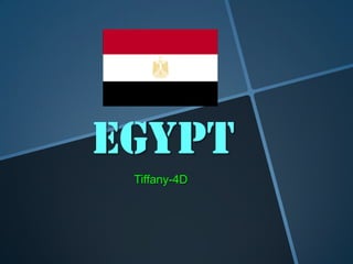 Egypt
Tiffany-4D