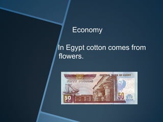 Economy
In Egypt cotton comes from
flowers.