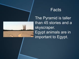 Facts
The Pyramid is taller
than 45 stories and a
skyscraper.
Egypt animals are in
important to Egypt.