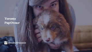 Toronto
PupOwner
Shopify
@walnuttheassie
 