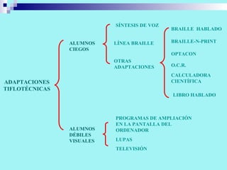 ADAPTACIONES TIFLOTÉCNICAS ALUMNOS CIEGOS ALUMNOS DÉBILES VISUALES LUPAS  TELEVISIÓN PROGRAMAS DE AMPLIACIÓN EN LA PANTALLA DEL ORDENADOR LIBRO HABLADO CALCULADORA CIENTÍFICA OPTACON BRAILLE  HABLADO BRAILLE-N-PRINT SÍNTESIS DE VOZ LÍNEA BRAILLE OTRAS ADAPTACIONES O.C.R. 