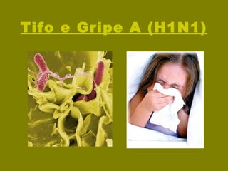 Tifo e Gripe A (H1N1) 