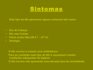 Sintomas Este tipo de tifo apresenta alguns sintomas tais como: Dor de Cabeça  Dor nas Costas Febre muito Alta (40.5 º -  41º C)  Artralgia O tifo murino é tratado com antibióticos. Para se combater este tipo de tifo é necessário manter condições adequadas de higiene. O tifo murino não apresenta uma elevada taxa de mortalidade. 