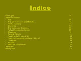 Índice Introdução  03 Desenvolvimento Tifo  04 Tifo Epidêmico ou Exantemático  05 Piolho Humano   06 Sintomas  07 Tifo Murino ou Endêmico  08 Pulga  Xenopsylla Cheopis   09 Sintomas  10 Gripe A (H1N1)  11 Bactéria do Vírus (h1n1)   12 Como se transmite a Gripe A (H1N1)?  13 Sintomas  14 Tamiflu  15 Medidas Preventivas  16 Conclusão  17 Bibliografia  18 