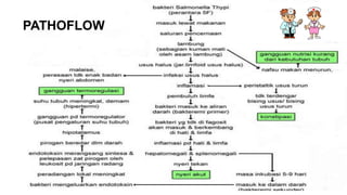Pathoflow Tifoid | PPTX