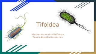 Tifoidea
 