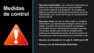 Medidas
de control
• Vacunas inactivadas: Las vacunas inactivadas se
utilizan en aves reproductoras para transferir
inmunidad materna a la progenie. Su empleo en
gallinas ponedoras disminuye la excreción fecal de
salmonelas y por ende disminuye la contaminación
de los huevos.
• Vacunas vivas: por ser la Salmonella un parásito
intracelular que permanece protegido dentro de la
célula, la acción de los anticuerpos circulantes o
humorales es poco eficiente,es necesario generar
inmunidad celular para evitar la multiplicación
entérica es necesaria la acción de la inmunidad de
mucosas que sólo proporcionan las bacterias vivas.
• Vacuna viva basada en la cepa S. Gallinarum 9R
• Vacuna viva de Salmonella Enteritidis
 