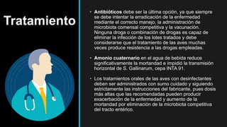 Tratamiento
• Antibióticos debe ser la última opción, ya que siempre
se debe intentar la erradicación de la enfermedad
mediante el correcto manejo, la administración de
microbiota comensal competitiva y la vacunación.
Ninguna droga o combinación de drogas es capaz de
eliminar la infección de los lotes tratados y debe
considerarse que el tratamiento de las aves muchas
veces produce resistencia a las drogas empleadas.
• Amonio cuaternario en el agua de bebida reduce
significativamente la mortandad e impidió la transmisión
horizontal de S. Gallinarum, cepa INTA 91.
• Los tratamientos orales de las aves con desinfectantes
deben ser administrados con sumo cuidado y siguiendo
estrictamente las instrucciones del fabricante, pues dosis
más altas que las recomendadas pueden producir
exacerbación de la enfermedad y aumento de la
mortandad por eliminación de la microbiota competitiva
del tracto entérico.
 