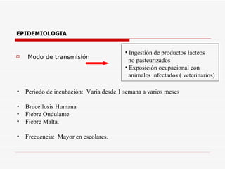 EPIDEMIOLOGIA Modo de transmisión Ingestión de productos lácteos no pasteurizados Exposición ocupacional con  animales infectados ( veterinarios) Periodo de incubación:  Varía desde 1 semana a varios meses Brucellosis Humana Fiebre Ondulante Fiebre Malta. Frecuencia:  Mayor en escolares. 