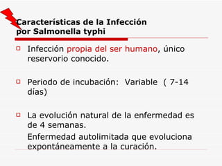 Características de la Infección  por Salmonella typhi Infección  propia del ser humano , único reservorio conocido. Periodo de incubación:  Variable  ( 7-14 días) La evolución natural de la enfermedad es de 4 semanas. Enfermedad autolimitada que evoluciona expontáneamente a la curación. 