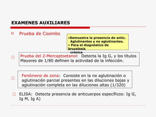 EXAMENES AUXILIARES Prueba de Coombs Demuestra la presencia de antic.  Aglutinantes y no aglutinantes. Para el diagnóstico de brucelosis crónica Prueba del 2-Mercaptoetanol :  Detecta la Ig G, y los títulos  Mayores de 1/80 definen la actividad de la infección. Fenómeno de zona :  Consiste en la no aglutinación o aglutinación parcial presentes en las diluciones bajas y aglutinación completa en las diluciones altas (1/320) ELISA:  Detecta presencia de anticuerpos específicos: Ig G,  Ig M, Ig A) 