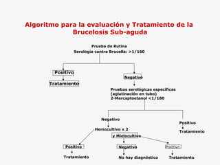 Algoritmo para la evaluación y Tratamiento de la  Brucelosis Sub-aguda Prueba de Rutina Serología contra Brucella: >1/160 Tratamiento Positivo Negativo Pruebas serológicas específicas (aglutinación en tubo) 2-Mercaptoetanol <1/180 Positivo Tratamiento Tratamiento Negativo No hay diagnóstico Positivo y Mielocultivo Positivo Hemocultivo x 2 Negativo Tratamiento 