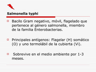 Salmonella typhi Bacilo Gram negativo, móvil, flagelado que pertenece al género salmonella, miembro de la familia Enterobacterias. Principales antígenos: Flagelar (H) somático (O) y uno termolábil de la cubierta (Vi). Sobrevive en el medio ambiente por 1-3 meses. 