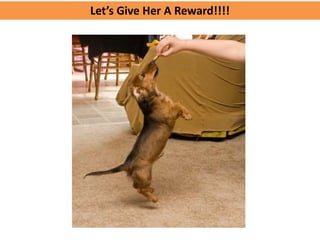 Let’s Give Her A Reward!!!!
 