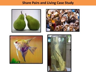 Share Pairs and Living Case Study
 