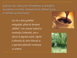 Cafeaua este rodia Corei-Persephonei şi semnificã
necesitatea revenirii, reîntoarcerii în tãrîmul de jos,
în tãrîmul sacrului latent.
Cea de-a doua grãdinã
neîngrijitã, plinã de buruieni
„bãlãrii”, este semnul sudorii şi
veninului Cerberului, este o
aluzie la legenda ieşirii, rãpirii
Cerberului de cãtre Hercule şi
a apariţiei plantelor veninoase
ca urmare.

 