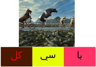 ‫كل‬   ‫سي‬   ‫با‬
 