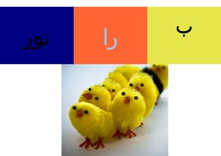 ‫ب‬
‫تور‬   ‫را‬
 