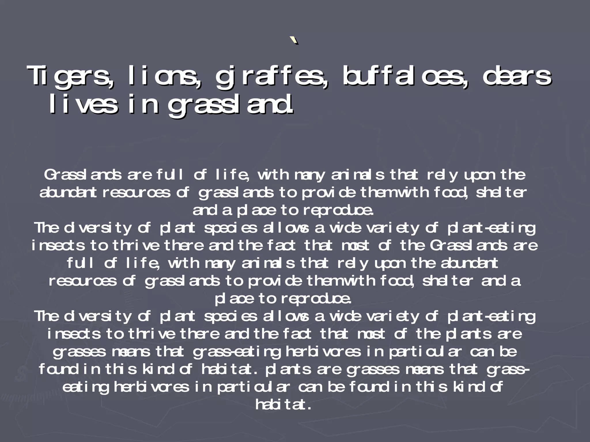 ` Tigers, lions, giraffes, buffaloes, dears lives in grassland. Grasslands are full of life, with many animals that rely upon the abundant   resources of grasslands to provide them with food, shelter and a place to reproduce. The diversity of plant species allows a wide variety of plant-eating insects to thrive there and the fact that most of the Grasslands are full of life, with many animals that rely upon the abundant resources of grasslands to provide them with food, shelter and a place to reproduce. The diversity of plant species allows a wide variety of plant-eating insects to thrive there and the fact that most of the plants are grasses means that grass-eating herbivores in particular can be found in this kind of habitat. plants are grasses means that grass-eating herbivores in particular can be found in this kind of habitat. 