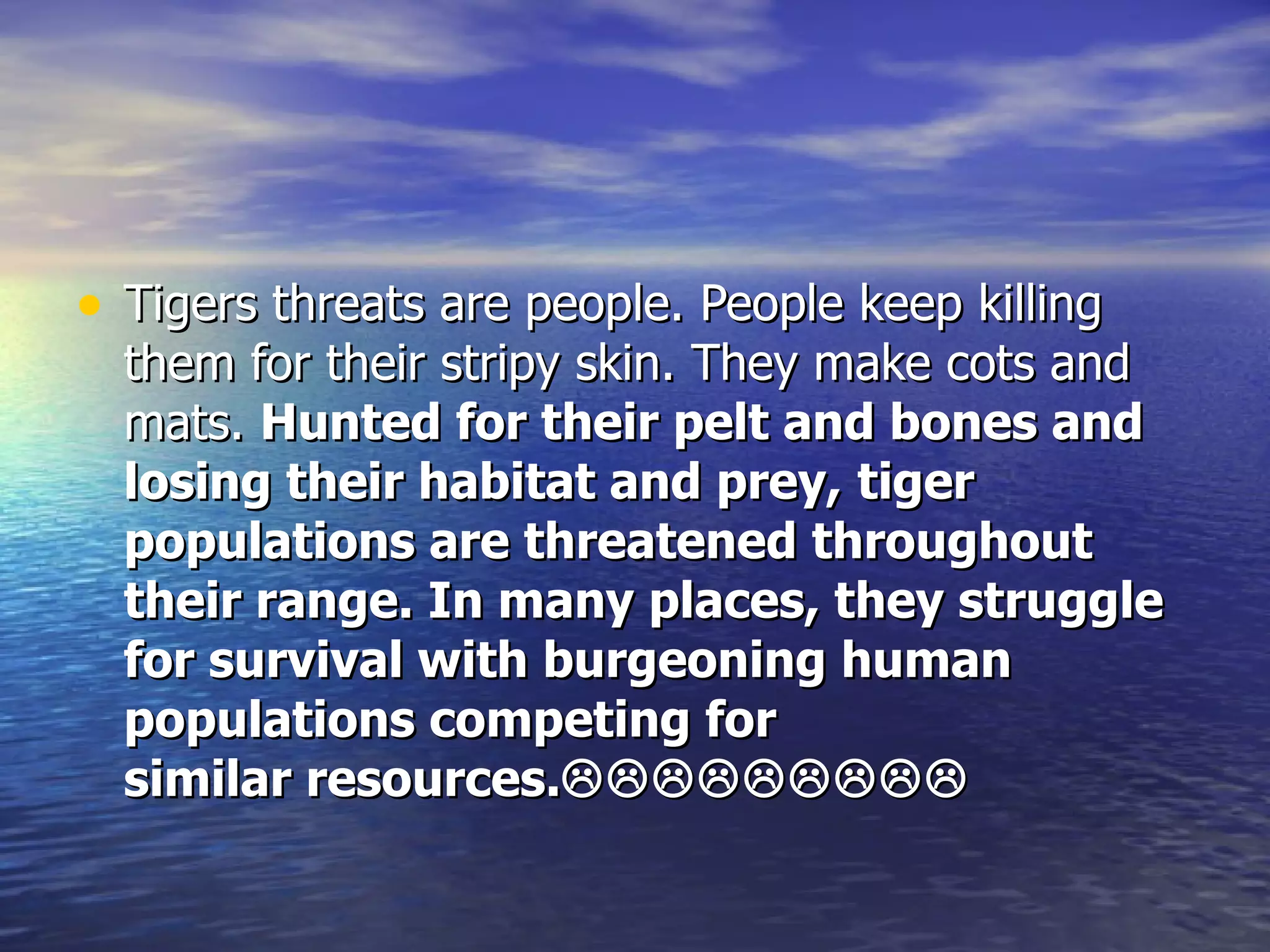 Tigers threats are people. People keep killing them for their stripy skin. They make cots and mats.  Hunted for their pelt and bones and losing their habitat and prey,   tiger populations are threatened throughout their range. In many places, they struggle for survival with burgeoning human populations competing for similar resources.  