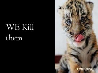 WE Kill them 