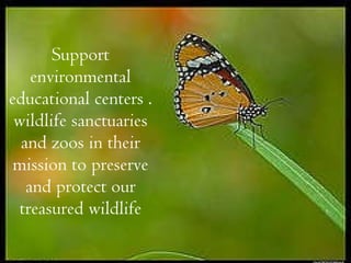 Support environmental educational centers . wildlife sanctuaries and zoos in their mission to preserve and protect our treasured wildlife 