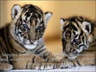 Support development of eco-friendly commerce and occupations in your own community as well as in developing countries 