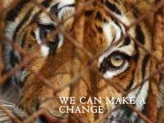 WE CAN MAKE A CHANGE 