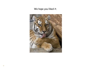 We hope you liked it.




    The
 