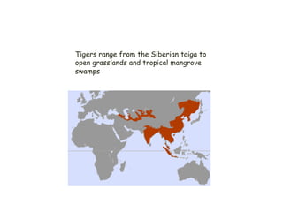 4 - Range
Tigers range from the Siberian taiga to
open grasslands and tropical mangrove
swamps
 