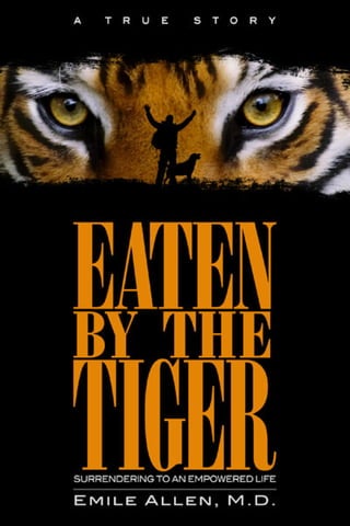 Eaten By The Tiger