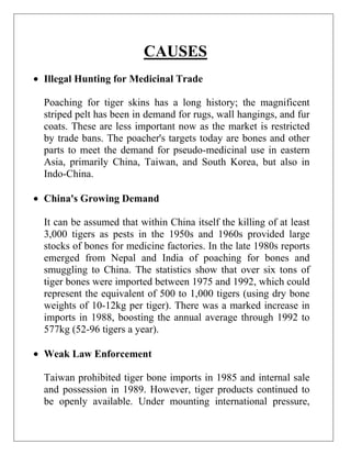 CAUSES
Illegal Hunting for Medicinal Trade
Poaching for tiger skins has a long history; the magnificent
striped pelt has been in demand for rugs, wall hangings, and fur
coats. These are less important now as the market is restricted
by trade bans. The poacher's targets today are bones and other
parts to meet the demand for pseudo-medicinal use in eastern
Asia, primarily China, Taiwan, and South Korea, but also in
Indo-China.
China's Growing Demand
It can be assumed that within China itself the killing of at least
3,000 tigers as pests in the 1950s and 1960s provided large
stocks of bones for medicine factories. In the late 1980s reports
emerged from Nepal and India of poaching for bones and
smuggling to China. The statistics show that over six tons of
tiger bones were imported between 1975 and 1992, which could
represent the equivalent of 500 to 1,000 tigers (using dry bone
weights of 10-12kg per tiger). There was a marked increase in
imports in 1988, boosting the annual average through 1992 to
577kg (52-96 tigers a year).
Weak Law Enforcement
Taiwan prohibited tiger bone imports in 1985 and internal sale
and possession in 1989. However, tiger products continued to
be openly available. Under mounting international pressure,

 