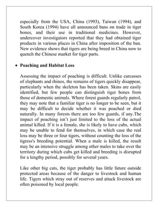 especially from the USA, China (1993), Taiwan (1994), and
South Korea (1994) have all announced bans on trade in tiger
bones, and their use in traditional medicines. However,
undercover investigators reported that they had obtained tiger
products in various places in China after imposition of the ban.
New evidence shows that tigers are being breed in China now to
quench the Chinese market for tiger parts.
Poaching and Habitat Loss
Assessing the impact of poaching is difficult. Unlike carcasses
of elephants and rhinos, the remains of tigers quickly disappear,
particularly when the skeleton has been taken. Skins are easily
identified, but few people can distinguish tiger bones from
those of domestic animals. Where forest guards regularly patrol,
they may note that a familiar tiger is no longer to be seen, but it
may be difficult to decide whether it was poached or died
naturally. In many forests there are too few guards, if any.The
impact of poaching isn’t just limited to the loss of the actual
animal killed. If it is a female, she is likely to have cubs, which
may be unable to fend for themselves, in which case the real
loss may be three or four tigers, without counting the loss of the
tigress's breeding potential. When a male is killed, the result
may be an intensive struggle among other males to take over the
territory during which cubs get killed and breeding is disrupted
for a lengthy period, possibly for several years.
Like other big cats, the tiger probably has little future outside
protected areas because of the danger to livestock and human
life. Tigers which stray out of reserves and attack livestock are
often poisoned by local people.

 