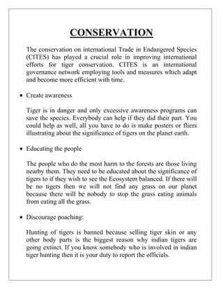 CONSERVATION
The conservation on international Trade in Endangered Species
(CITES) has played a crucial role in improving international
efforts for tiger conservation. CITES is an international
governance network employing tools and measures which adapt
and become more efficient with time.
Create awareness
Tiger is in danger and only excessive awareness programs can
save the species. Everybody can help if they did their part. You
could help as well, all you have to do is make posters or fliers
illustrating about the significance of tigers on the planet earth.
Educating the people
The people who do the most harm to the forests are those living
nearby them. They need to be educated about the significance of
tigers to if they wish to see the Ecosystem balanced. If there will
be no tigers then we will not find any grass on our planet
because there will be nobody to stop the grass eating animals
from eating all the grass.
Discourage poaching:
Hunting of tigers is banned because selling tiger skin or any
other body parts is the biggest reason why indian tigers are
going extinct. If you know somebody who is involved in indian
tiger hunting then it is your duty to report the officials.

 