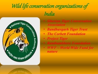 Wildlife conservation organizationsof
India
• Siberian Tiger Conversation
Association
• Bandhavgarh Tiger Trust
• The Corbett Foundation
• Project Tiger
• Ranthambhore Foundation
• WWF – World Wide Fund for
nature
 