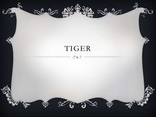 TIGER
 