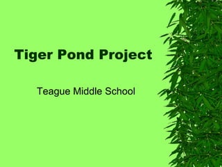 Tiger Pond Project ,[object Object]