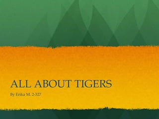 ALL ABOUT TIGERS
By Erika M. 2-327
 
