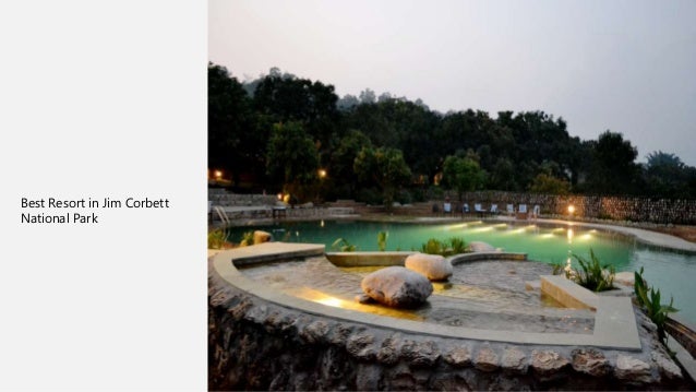 Tiger Camp Resorts